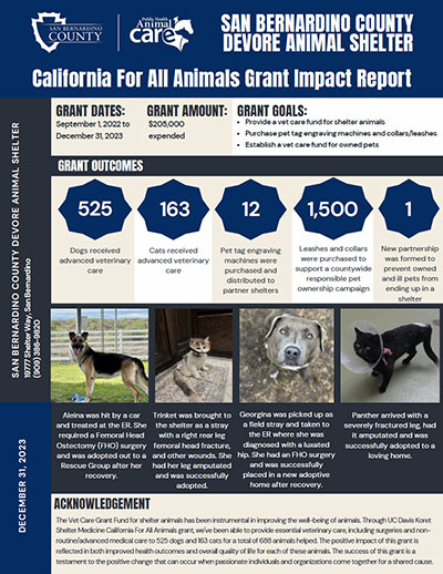 San Bernardino County Devore Animal Shelter one-page report