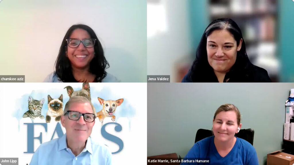 Drs Chumkee Aziz, Jena Valdez, John Lipp and Katie Marrie in still from zoom meeting