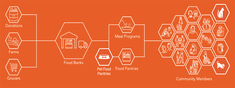 Jorge and Cel envision an updated version of the California Association of Food Banks model, one that recognizes pets as family members and incorporates pet food pantries as key partners in a mutually beneficial relationship.